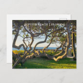 Jupiter Florida Briefkaart Oceaan en Zee Druiven (Voorkant / Achterkant)