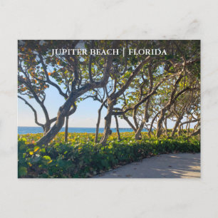 Jupiter Florida Briefkaart Ocean Pier en Zee Druiv