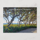 Jupiter Florida Briefkaart Ocean Pier en Zee Druiv (Voorkant)