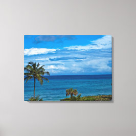 Jupiter Florida Canvas Afdruk