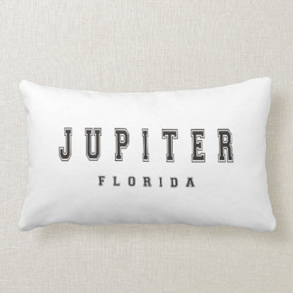 Jupiter Florida Kussen