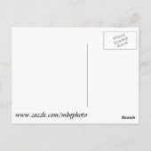 Jupiter Inlet Lighthouse Briefkaart (Achterkant)