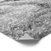 Jupiter & Lake Worth Railroad, 1897.  foto Poster (Hoek)