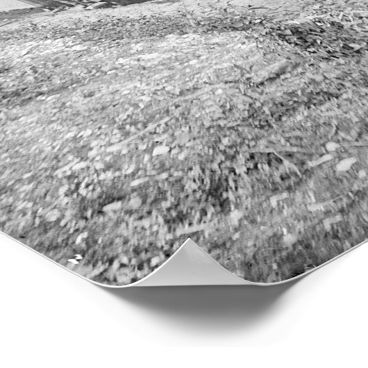 Jupiter & Lake Worth Railroad, 1897. foto Poster (Hoek)