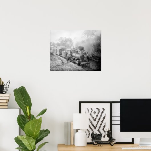 Jupiter & Lake Worth Railroad, 1897.  foto Poster (Thuiskantoor)