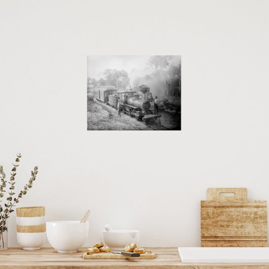 Jupiter & Lake Worth Railroad, 1897.  foto Poster (Keuken)