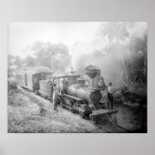 Jupiter & Lake Worth Railroad, 1897.  foto Poster (Voorkant)