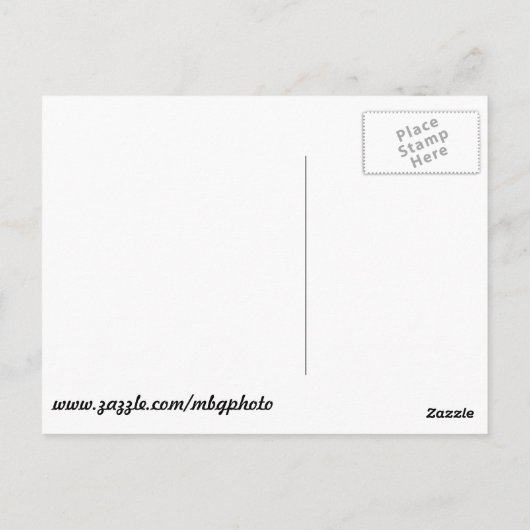 Jupiter Lighthouse van DuBois Park Briefkaart (Achterkant)