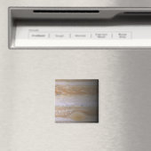 JUPITER MAGNEET (Insitu (Vaatwasser))