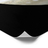 Jupiter mosiac poster (Hoek)