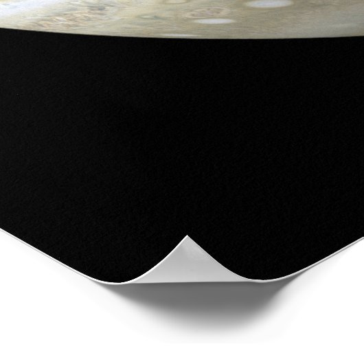 Jupiter mosiac poster (Hoek)