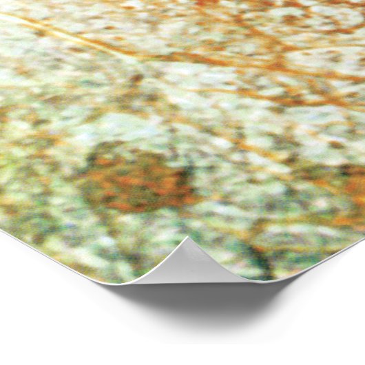 Jupiter's Moon Europa Poster (Hoek)