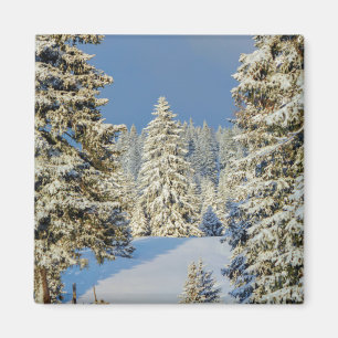 Jura-berg tegen winterzonsondergang in Zwitserland Magneet
