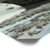 Jurassic Coast, Dorset Poster (Hoek)