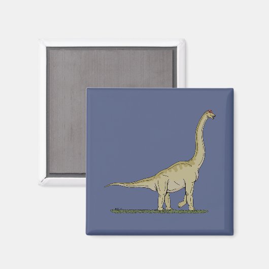 Jurassic Dinosaur Brachiosaurus Magneet (Voorkant / Achterkant)