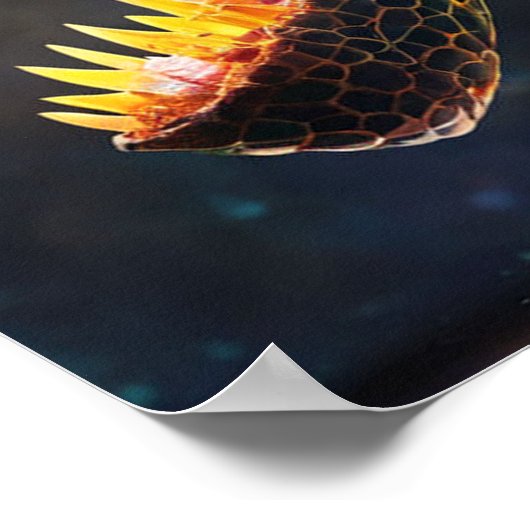 Jurassic Dinosaur Poster - Prehistorische T-Rex Ar (Hoek)