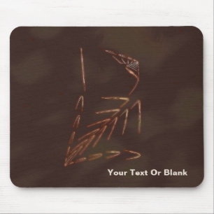 Jurassic Fossil Muismat