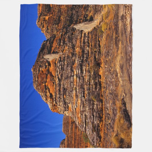 JURASSIC ROCK FLEECE DEKEN (Voorkant)