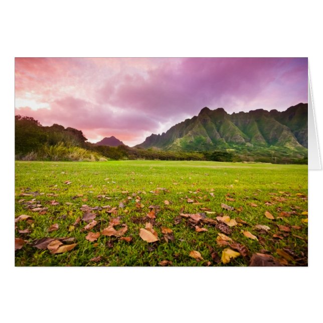 Jurassic Sunset (Voorkant Horizontaal)