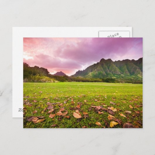 Jurassic Sunset Briefkaart (Voorkant / Achterkant)