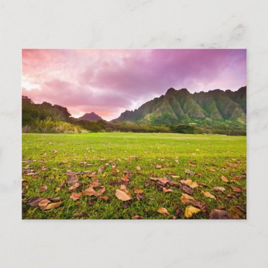 Jurassic Sunset Briefkaart (Voorkant)