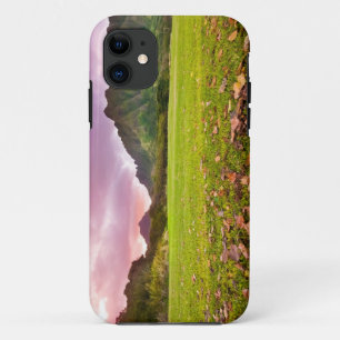 Jurassic Sunset Case-Mate iPhone Case