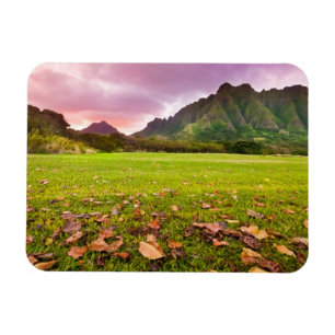 Jurassic Sunset Magneet