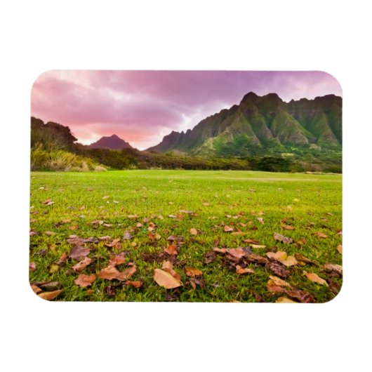 Jurassic Sunset Magneet (Horizontaal)