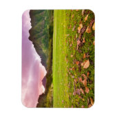 Jurassic Sunset Magneet (Verticaal)