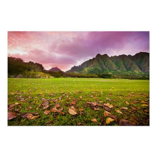 Jurassic Sunset Poster (Voorkant)