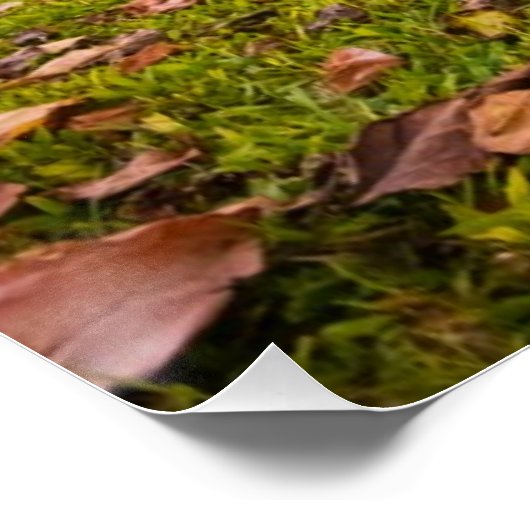 Jurassic Sunset Poster (Hoek)