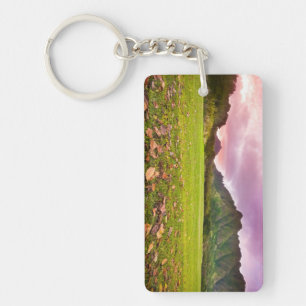 Jurassic Sunset Sleutelhanger