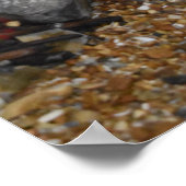 Jurassic Times Poster (Hoek)