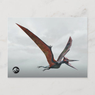 Jurassic World   Pteranodon Briefkaart