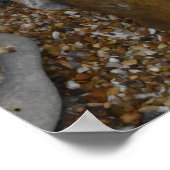 Jurassische tijden. poster (Hoek)