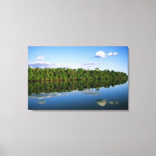 Juruena, Brazilië. Beboste oever weerspiegeld Canvas Afdruk (Voorkant)