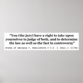 Jury Nullification State of Georgia vs Brailsford Poster (Voorkant)