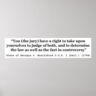 Jury Nullification State of Georgia vs Brailsford Poster