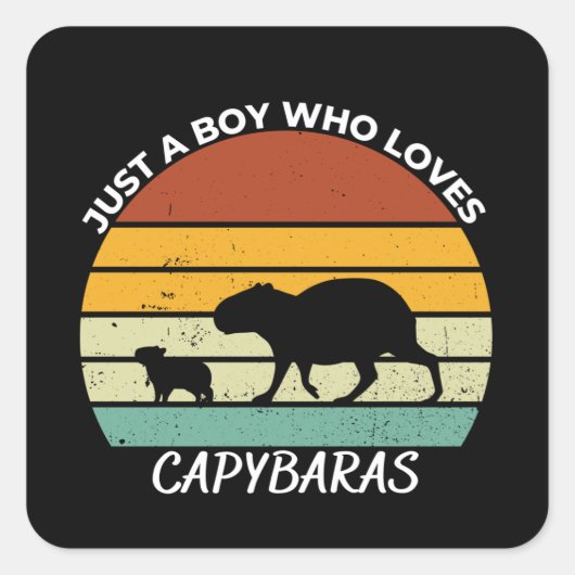 Just a boy who loves capybaras vierkante sticker (Voorkant)