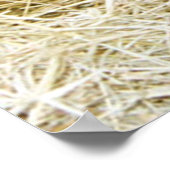 Just Born Poster (Hoek)