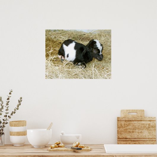 Just Born Poster (Keuken)