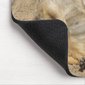 Just Chillin' Meerkat Foto Muismat (Hoek)