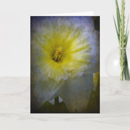 Just Daffy Kaart (Voorkant)