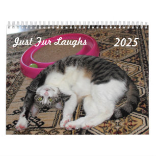 Just Fur Laughs Calendar Kalender