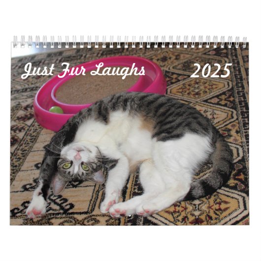 Just Fur Laughs Calendar Kalender (Hoes)