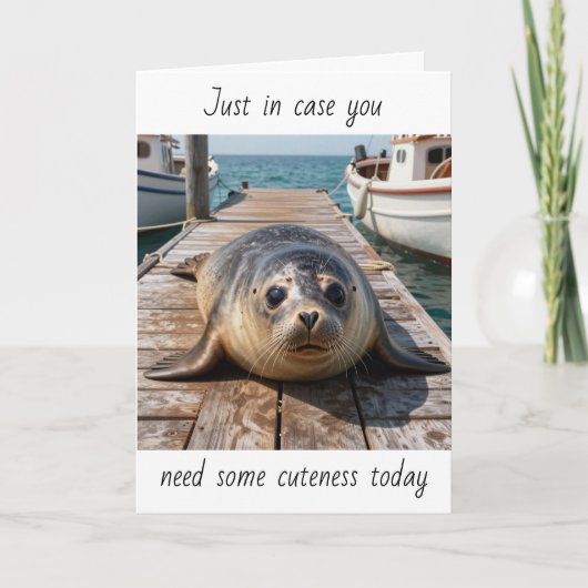 Just in Case You Need some Cuteness Today | Seal Kaart (Voorkant)