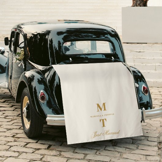 Just Married Ivory Gold Wedding Car Banner Sign Wandkleed