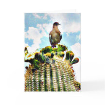 Just sitting' on a saguaro