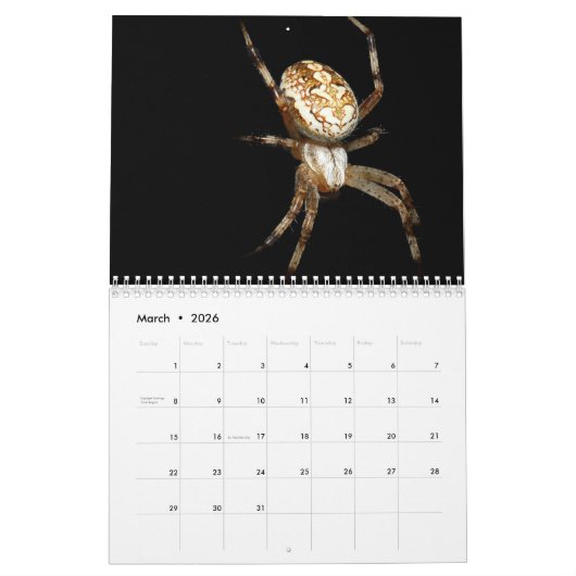 Just Spiders Calendar, 2020 Kalender (Mar 2026)