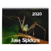Just Spiders Calendar, 2020 Kalender (Hoes)